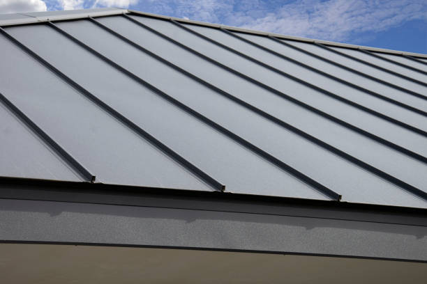 Best Green or Eco-Friendly Roofing Solutions  in Oakland, FL